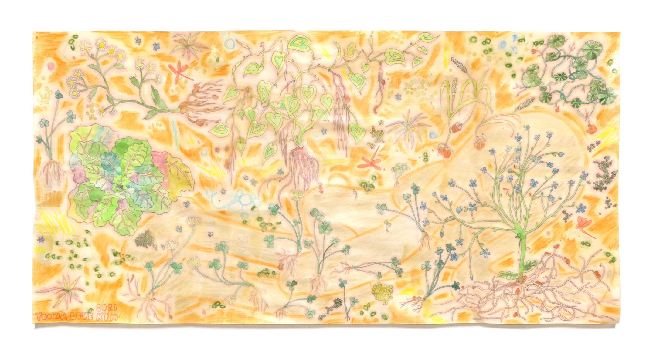 Our Roots, 45 x 93 cm, Mixed media, Beeswax on paper, 2021